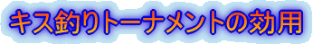 LXނg[iǧp 