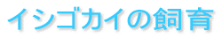 CVSJC̎